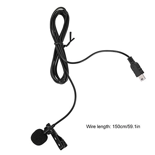 Mini USB Microphone