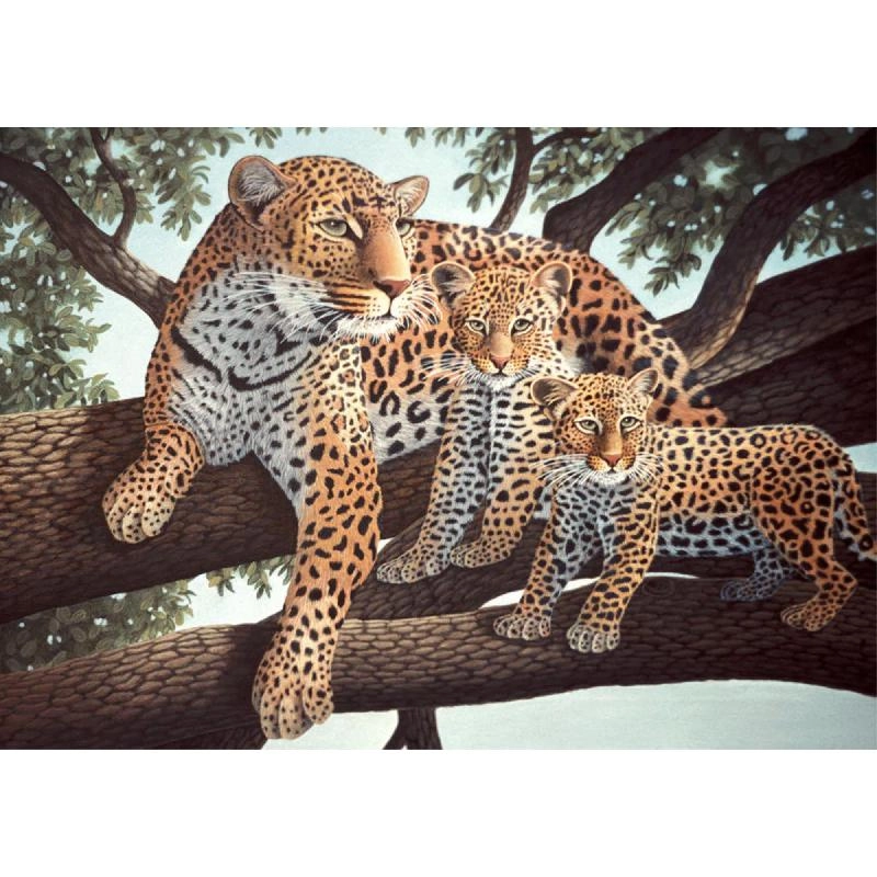 African Leopard and Cubs - 10 Paint Pots, Brush, Board, Pattern