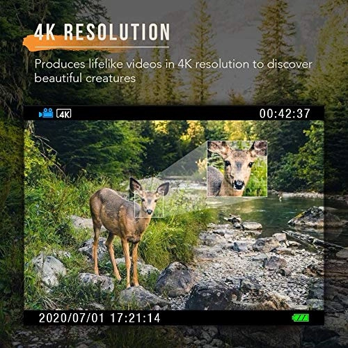 Trail Camera Dual-Lens - 20MP