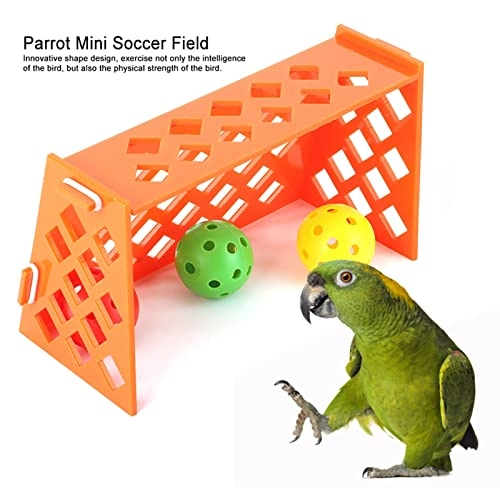 Mini Soccer Field - 18 months - 3 years