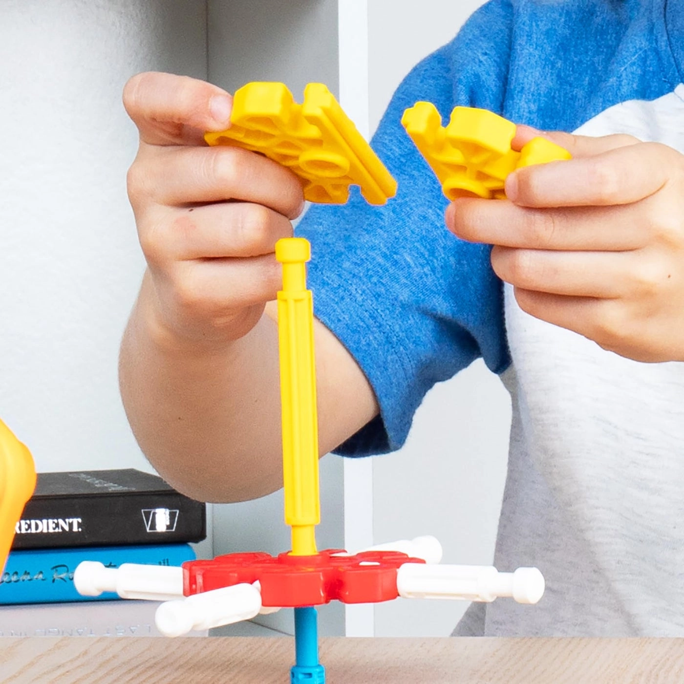 Build A Bunch Set - 66pcs