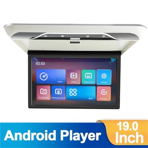 Roofmount LCD Monitor - 19in
