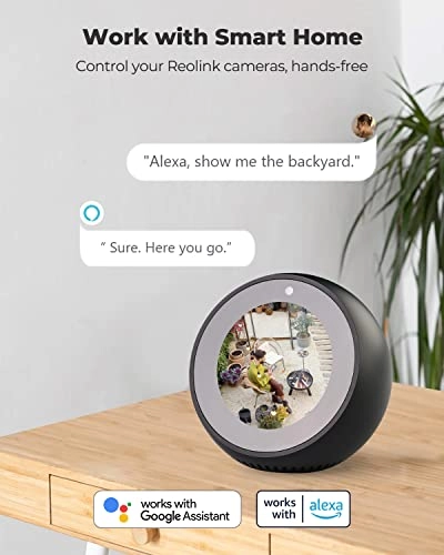 Argus Eco + Solar Panel