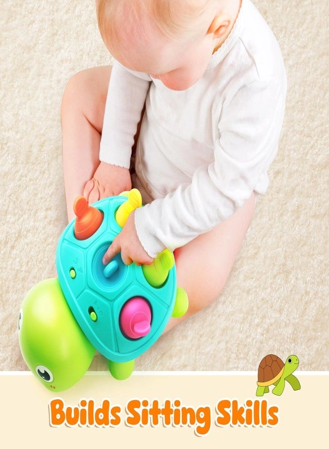 Turtle Musical Toy - 6-12 months