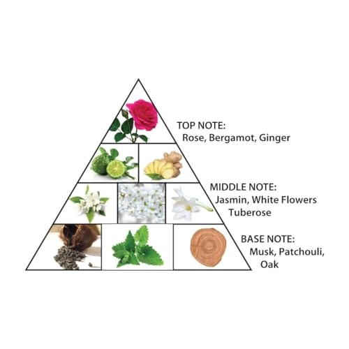 AMBER OUD Eau de Parfum 120ml