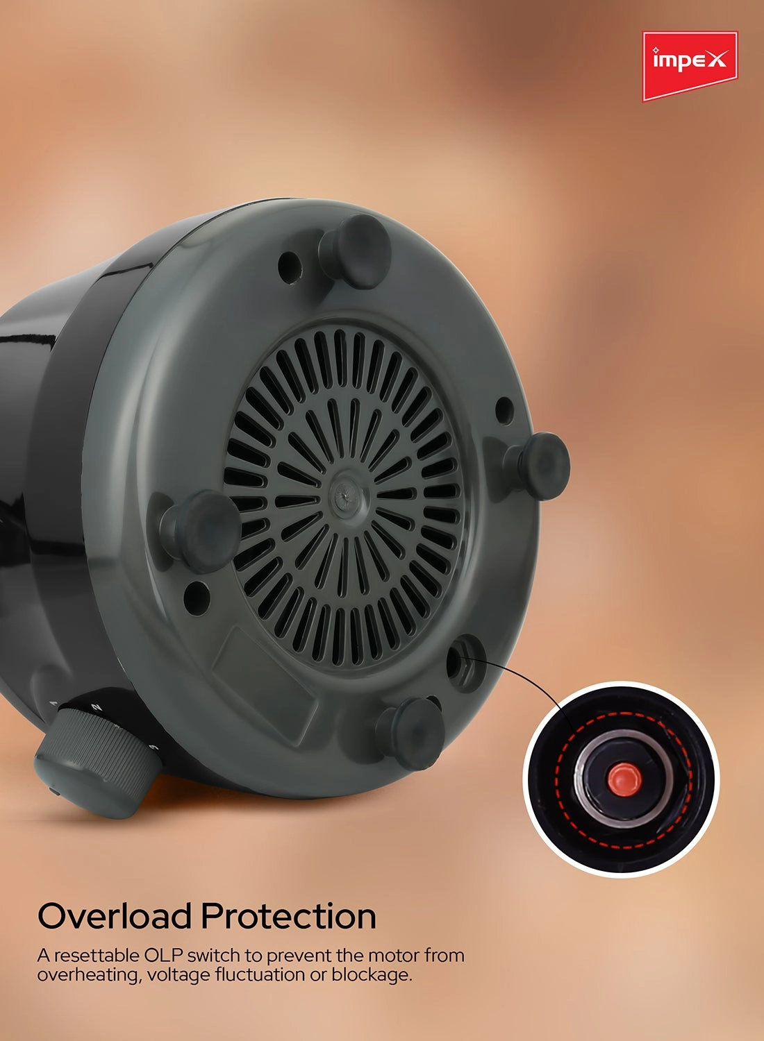 2-in-1 Mixer Grinder - 1.5L 550W