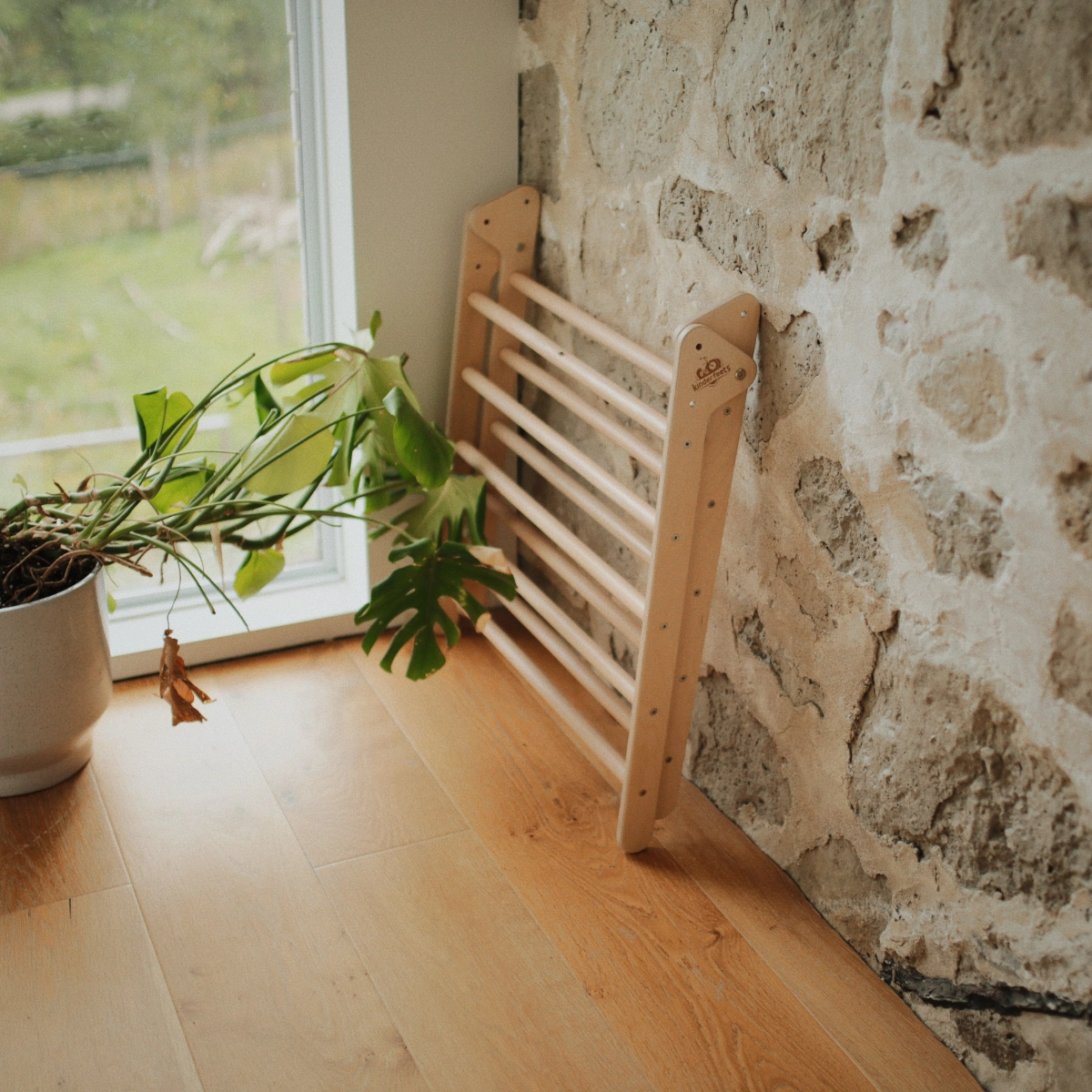 Pikler Climber Triangle - 1+