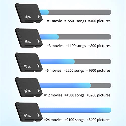 Memory Card Stick - 8GB