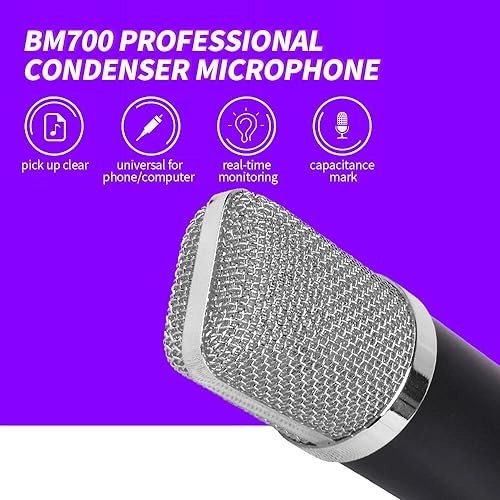 BM700 3.5mm-Mini-Jack Microphone