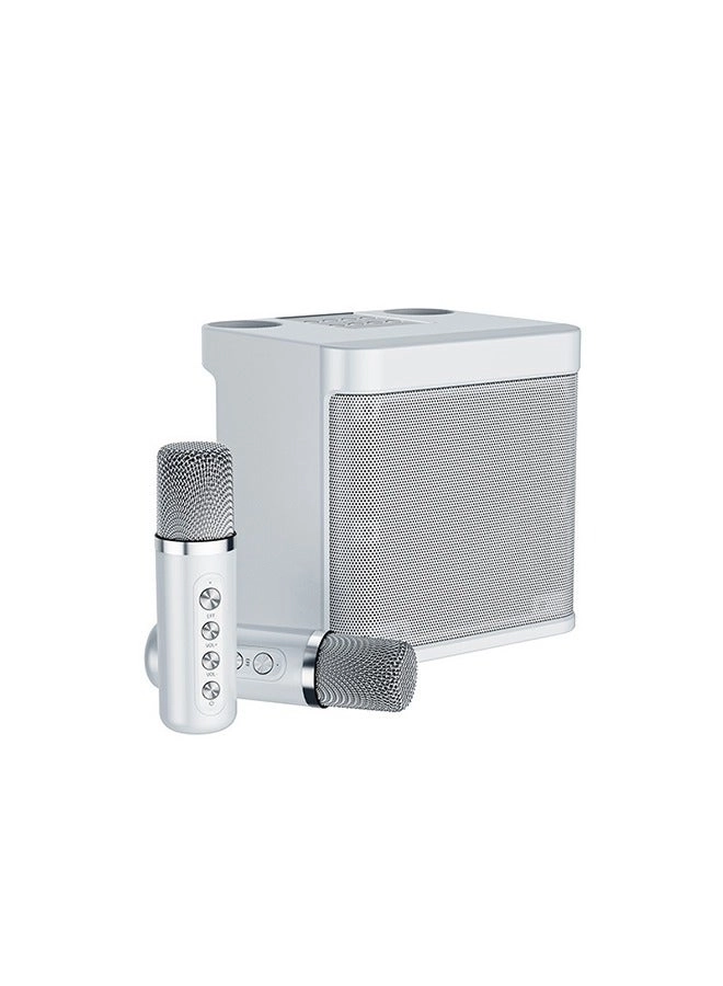 K12 Speaker - two microphone