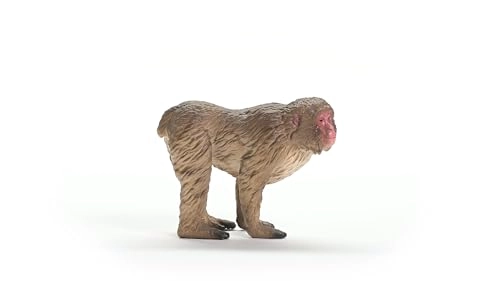 Japanese Macaque - 4+