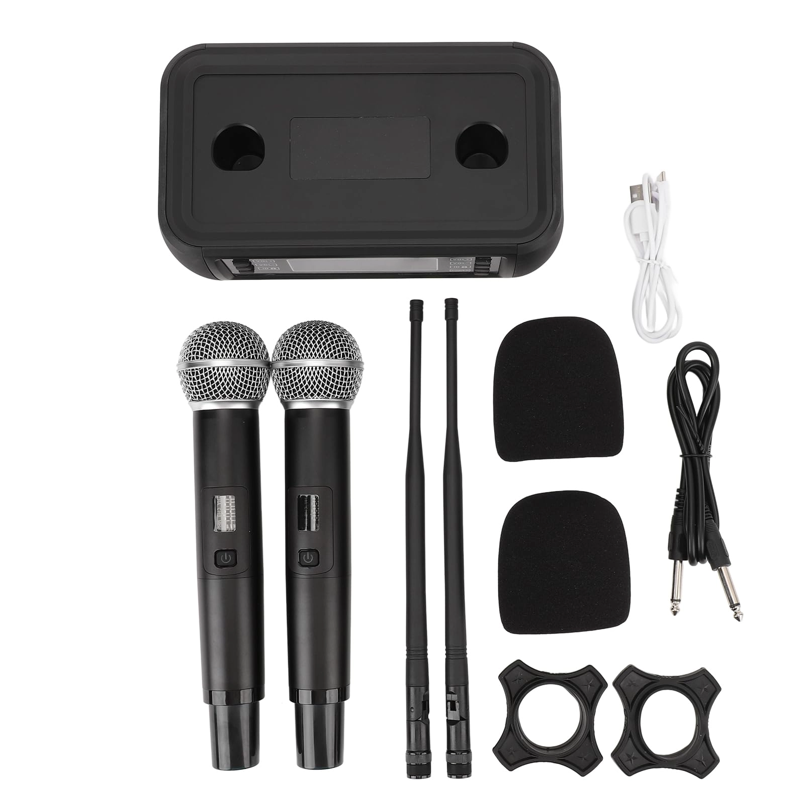 LIYJTK Professional Noise Reduction Handheld Microphone System USB Microphone