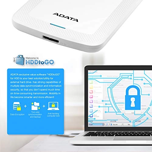 DashDrive HV300 - 1TB 2.5-inch