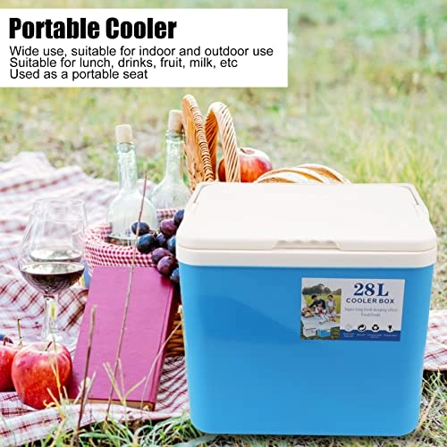 Portable Cooler - 28L