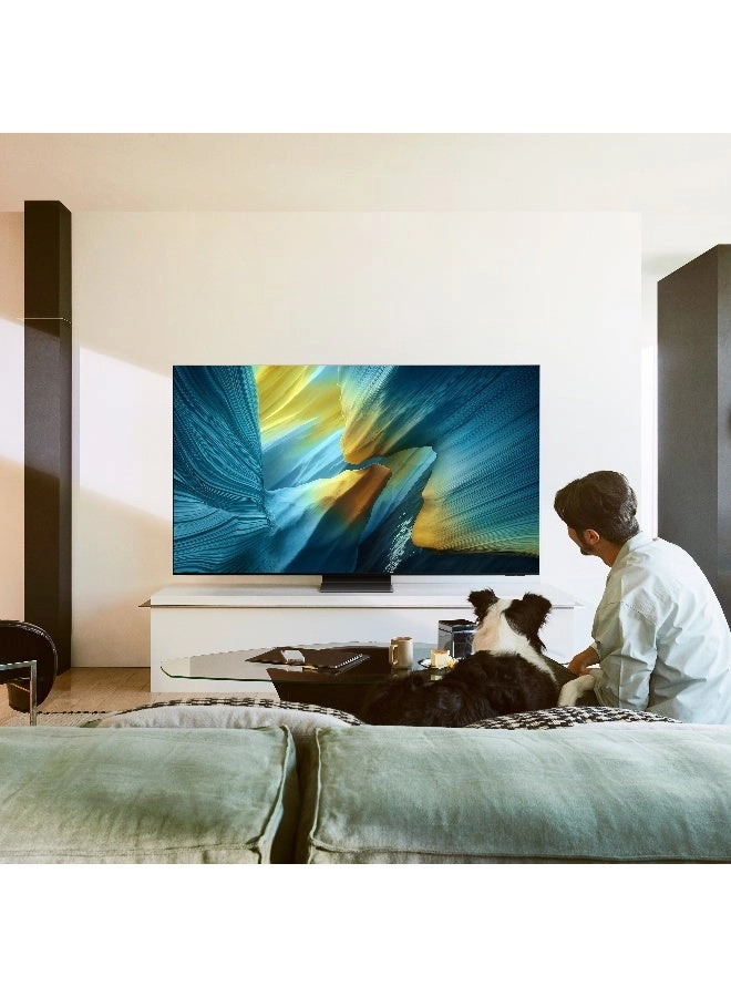 QA65S95FAUXZN - 65 Inch