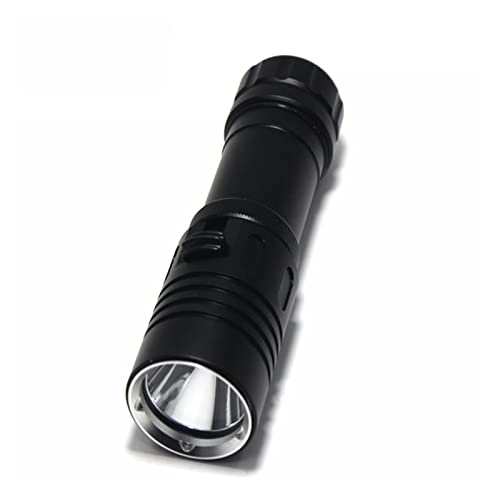 Professional Submersible Light