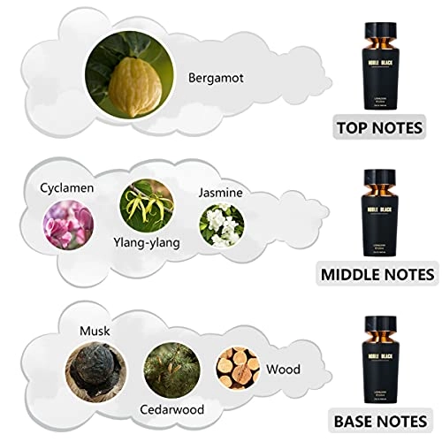 Leather Note Eau de Parfum 100ml