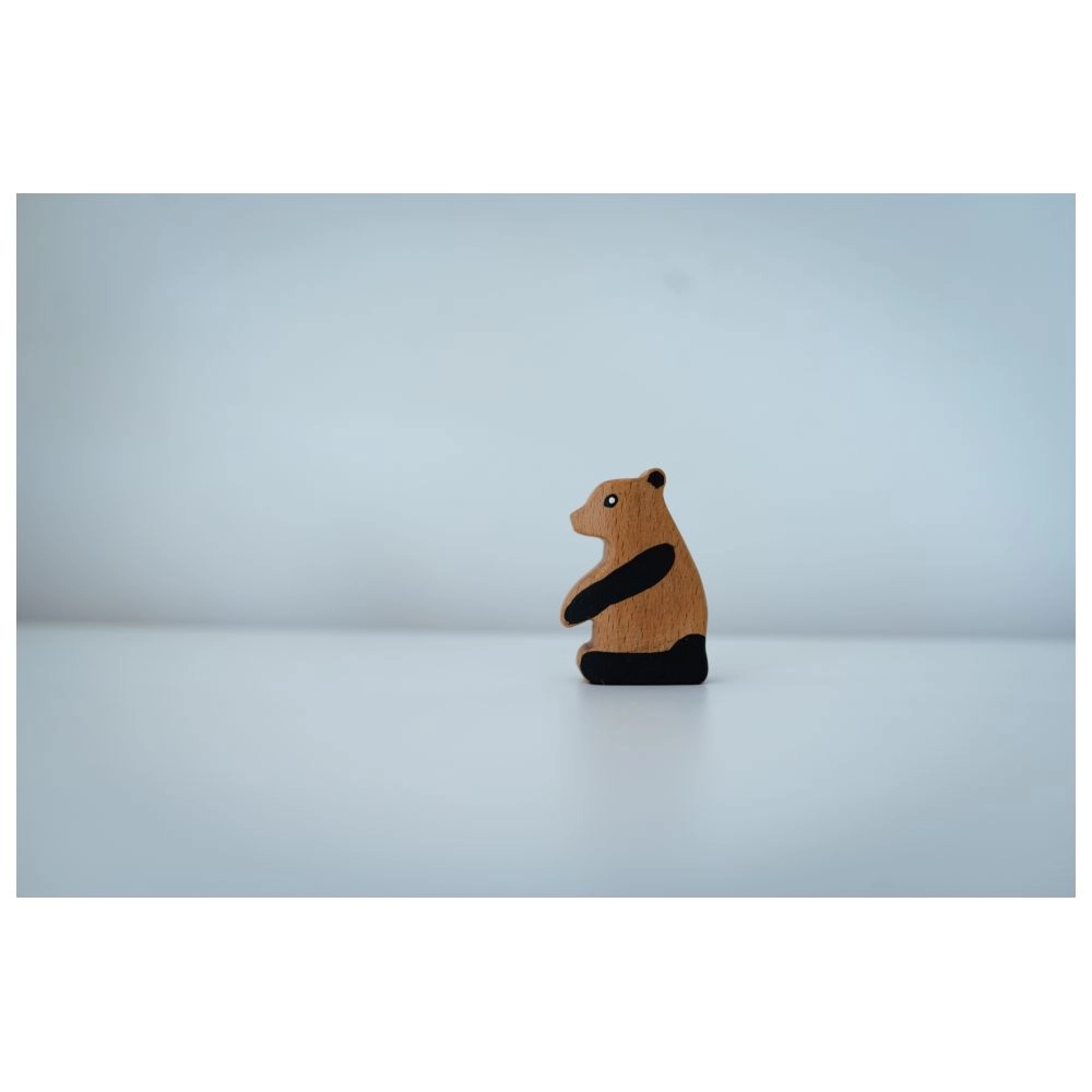 Wooden Exotic Animals Set - 2 years & above 4 pieces