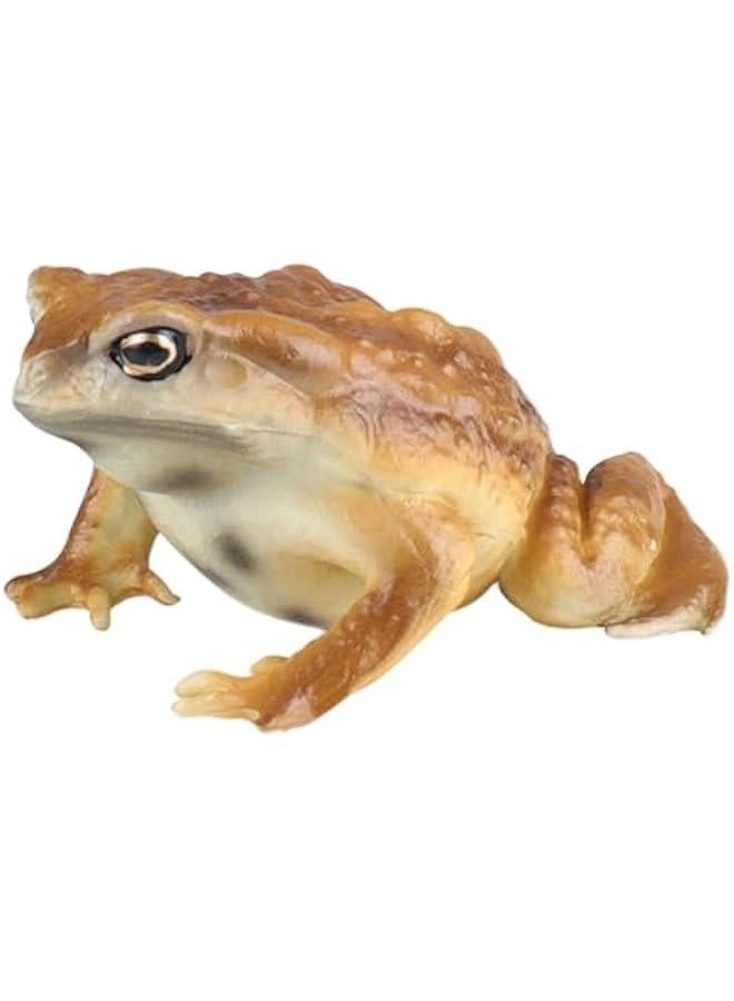 Generic Frog and Toad Animal Figurines