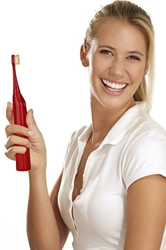 S430 - High Power Rechargeable 12 Brush Heads