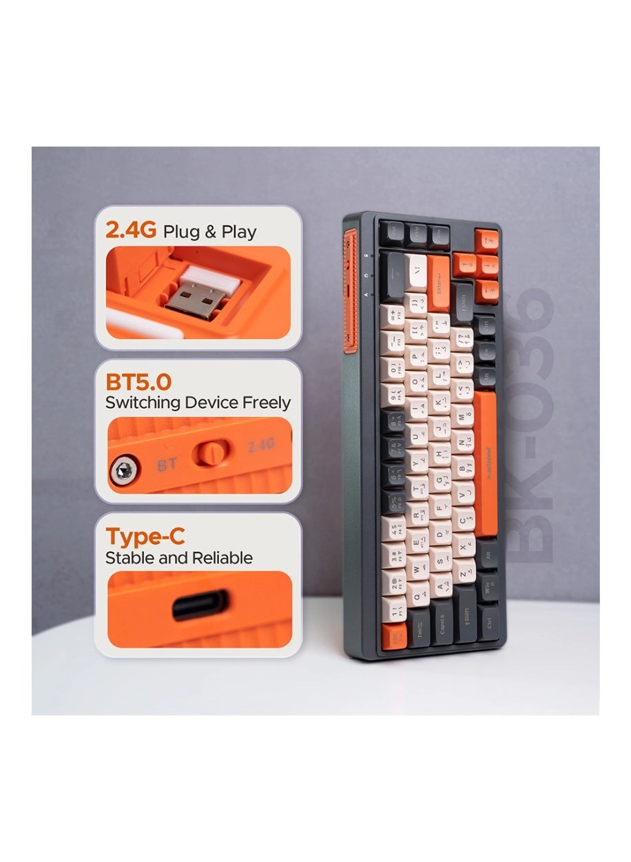 BK-036 - EN/AR Wireless