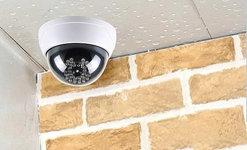 Dummy Dome Camera - Outdoor Pack