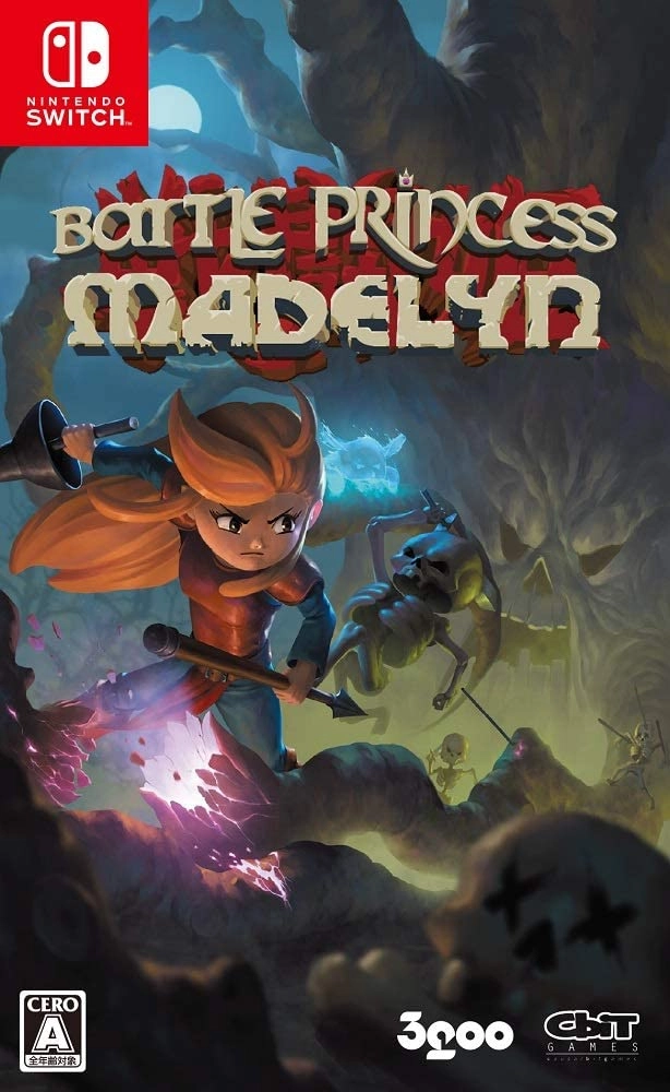 Nintendo Battle Princess Madelyn