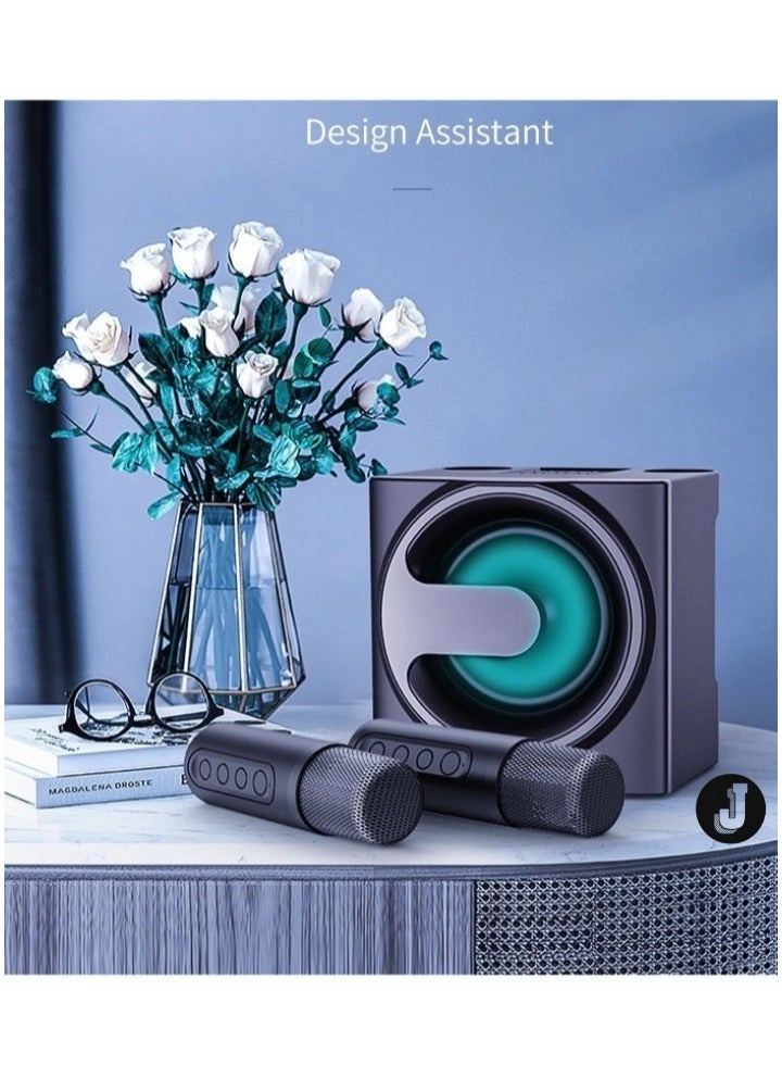 JAJEEK YS-207 - Dual Microphones