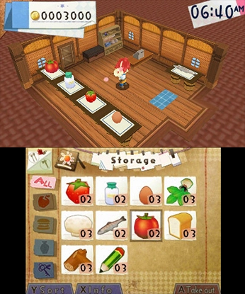 HOMETOWN STORY - Nintendo 3DS