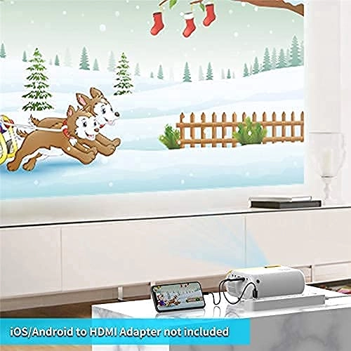 Mini DIY Smartphone Projector