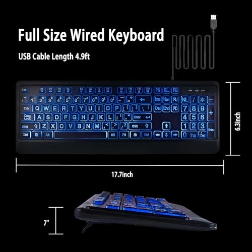 LARGE PRINT BACKLIT KEYBOARD