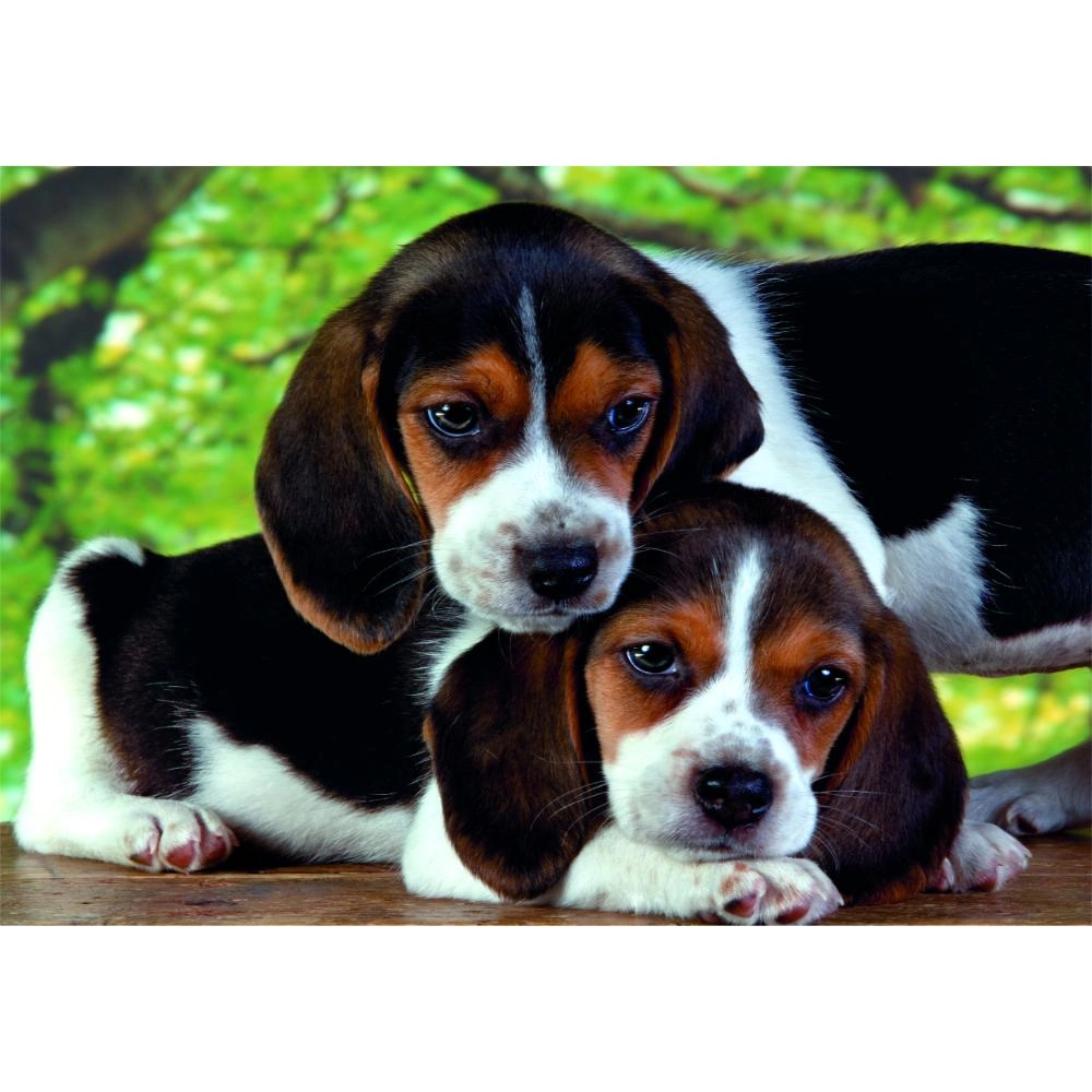 Close Together Puzzle (527-35536) - 500 pcs