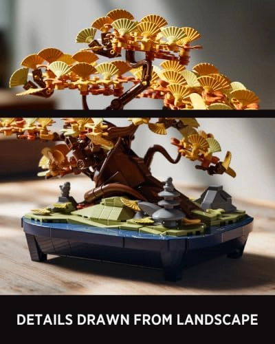 Ginkgo Bonsai Tree
