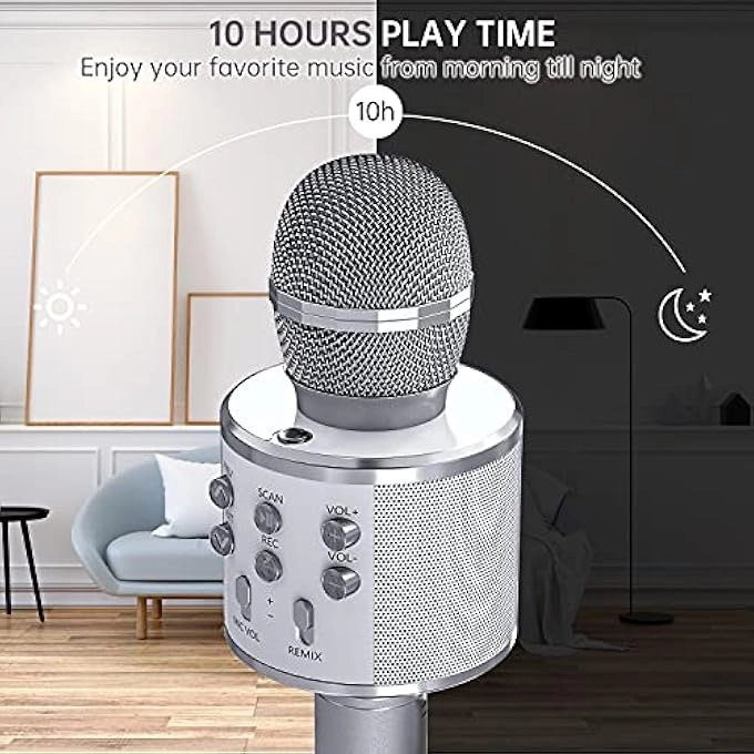 rayihni Karaoke Microphone Pack