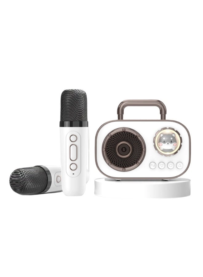 LED Bluetooth Karaoke Speaker - Dual Microphones