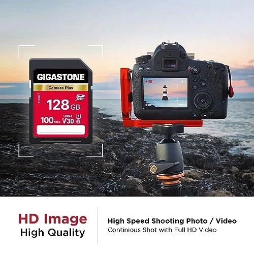 SDXC Memory Card - 128GB + Mini Cases