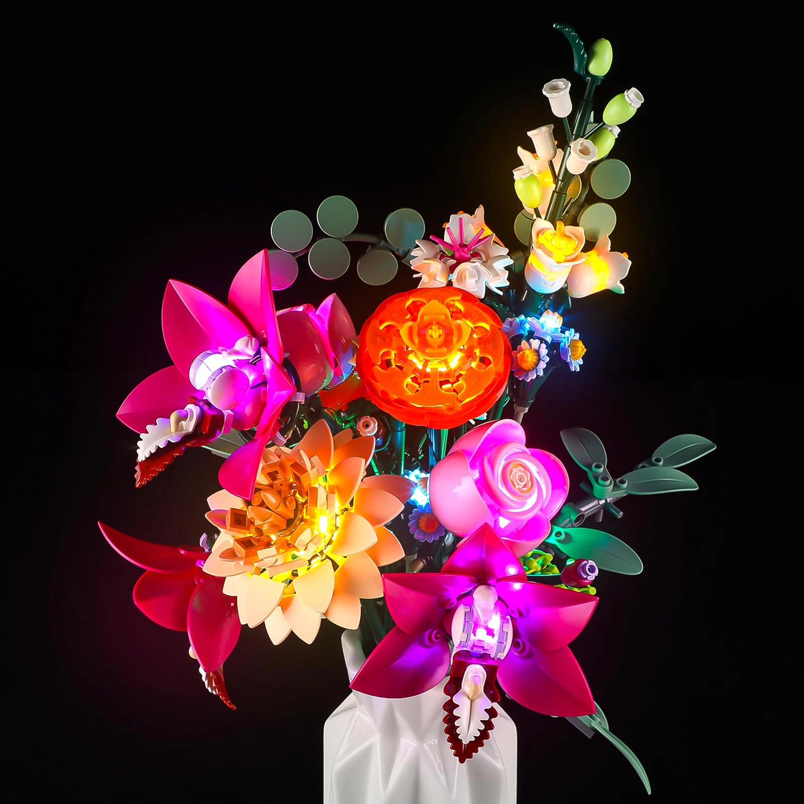 BVOPLME LED Light Kit