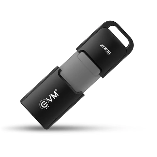 EVM EnX - USB 3.2 Gen 1 256GB