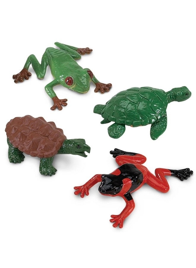 Frogs & Turtles TOOB Educational - 3 years+ 12 pieces
