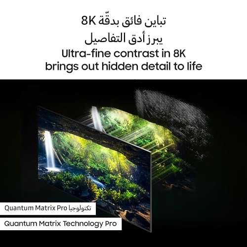 (Renewed) QN800D - 65 INCH