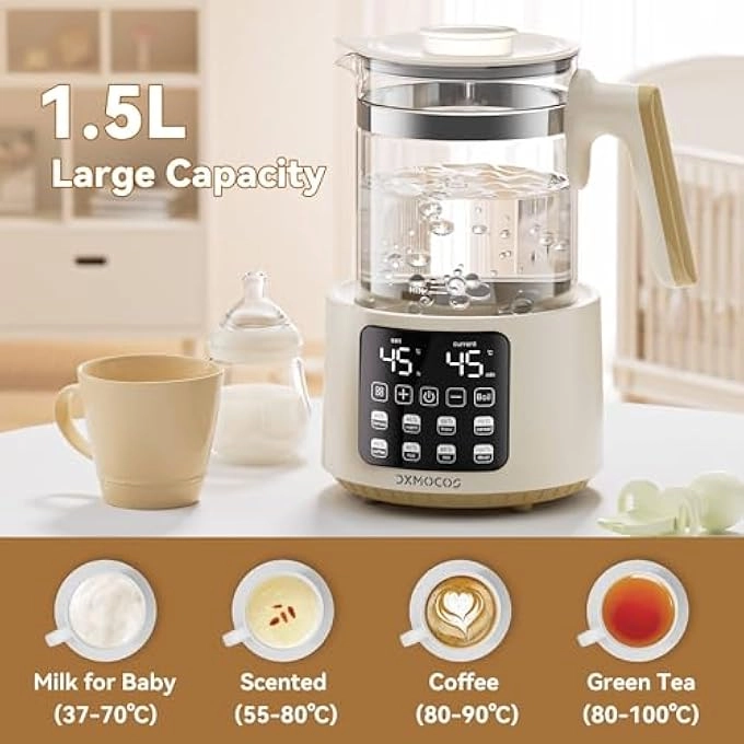 Temperature Control Electric Kettle