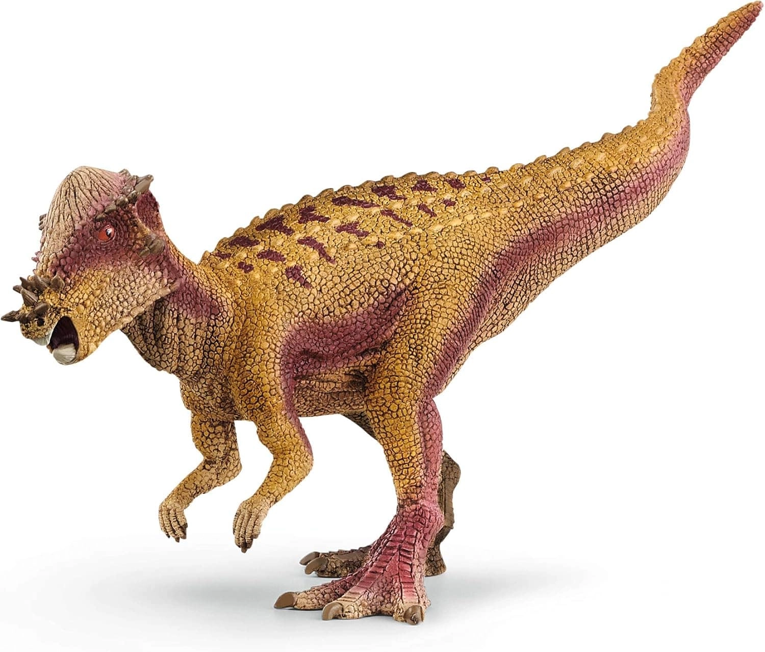 COLOR LAND CHILDRENS TOYS CENTER LLC Pachycephalosaurus