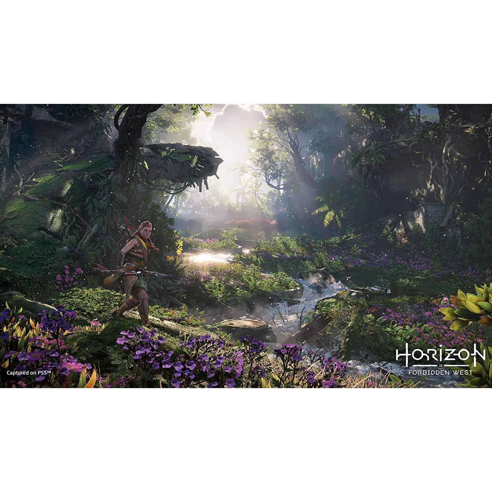 Horizon Forbidden West Launch Edition - PlayStation 5