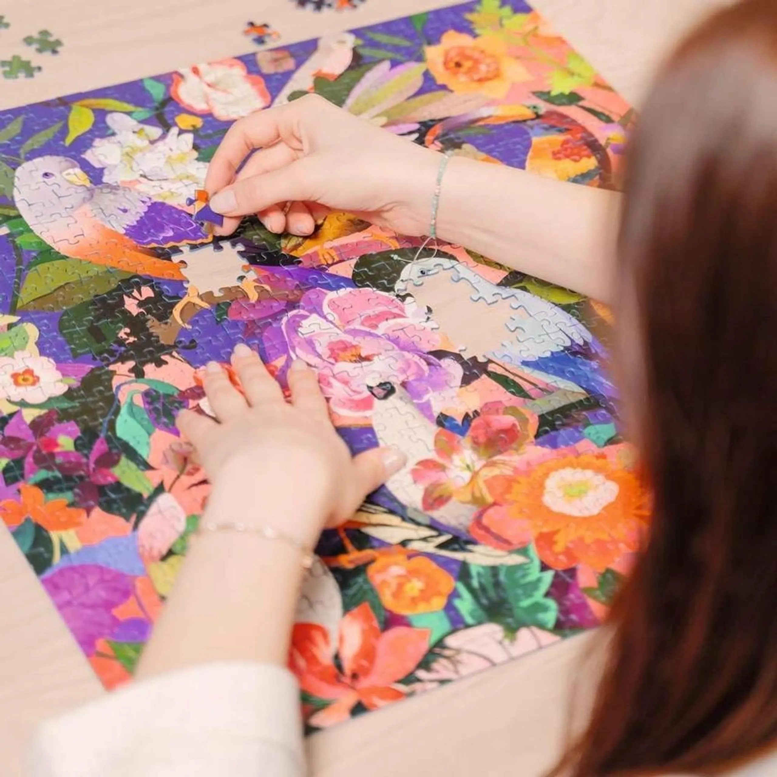 Bird Watching Puzzle (622-12000998_6) - 750 pcs