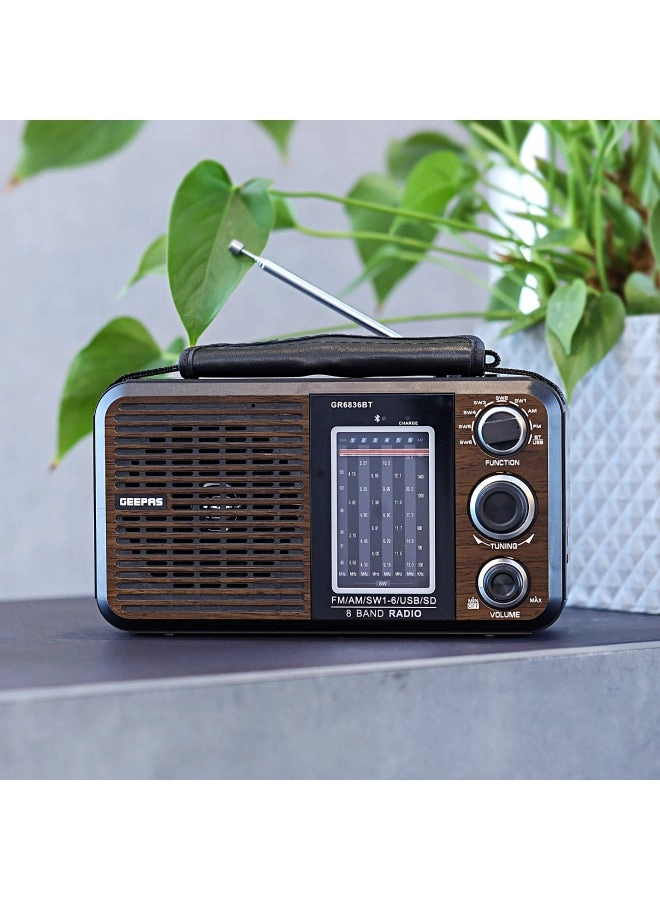 GEEPAS GR6836BT - FM Radio
