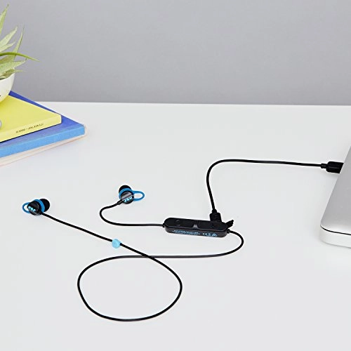 Live Loose Wireless Earbud