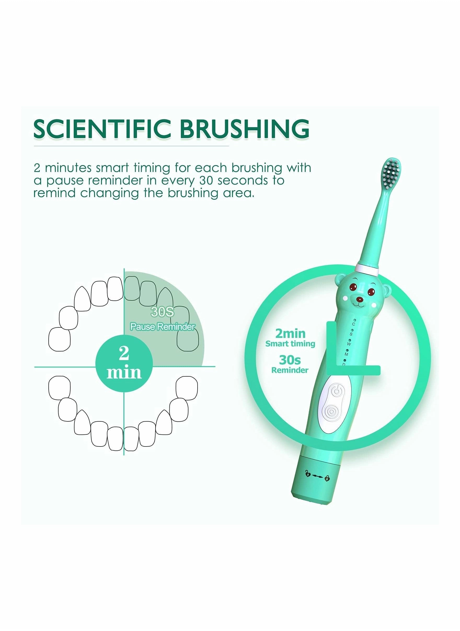 Kids Sonic Electric Toothbrush - Cute Bear 4 Brush Heads 2 Min Timer