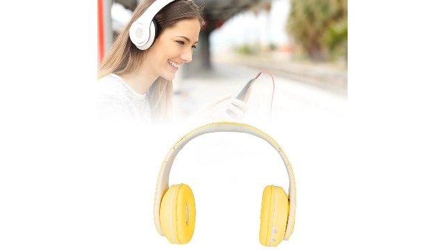 B39 - Wireless Headset