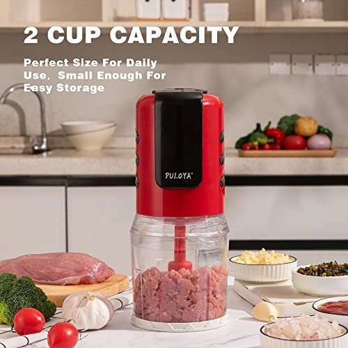 Mini Food Processor - 2 Cups