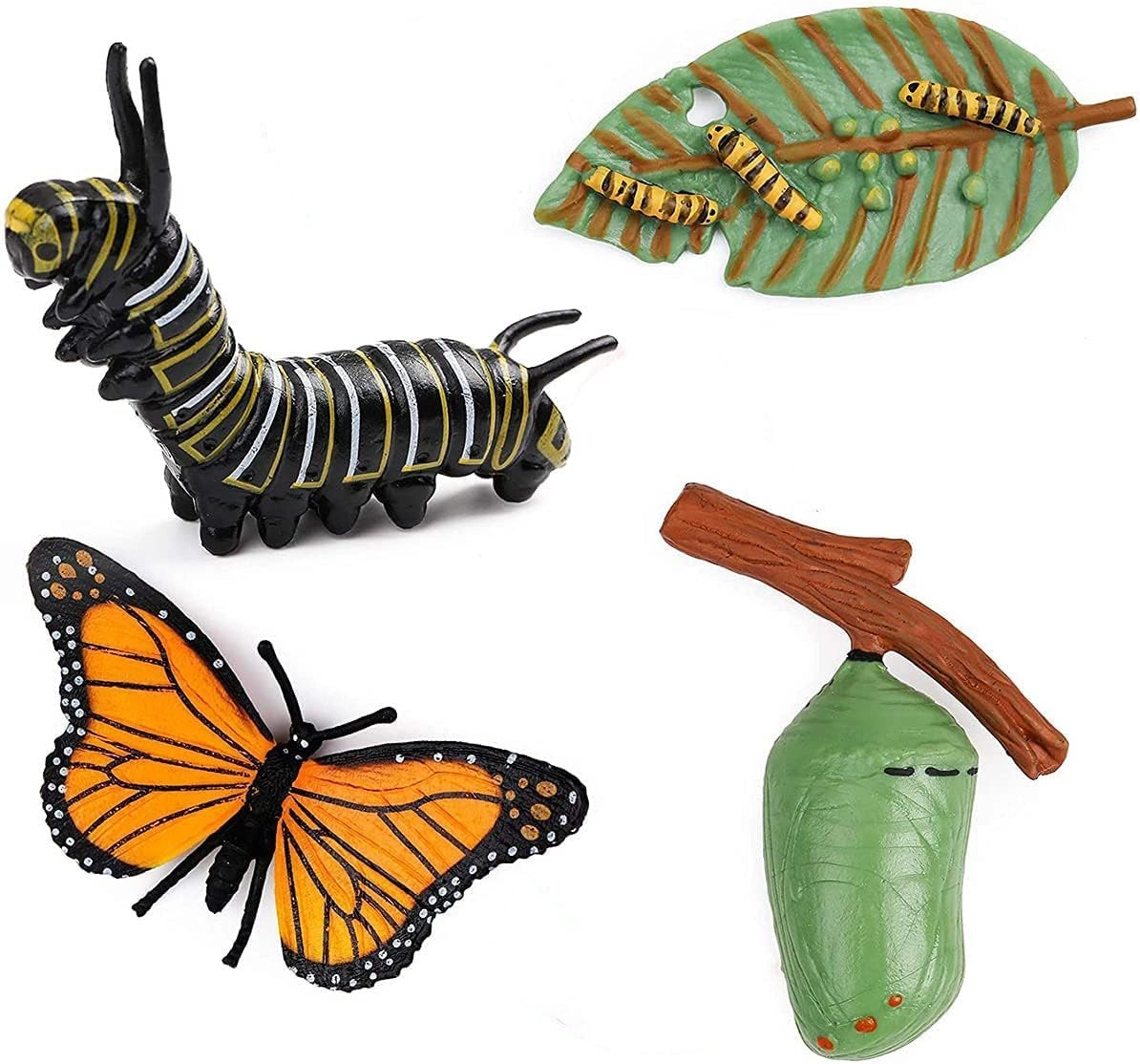 Aputue Butterfly Life Cycle Biology - 18 months - 3 years
